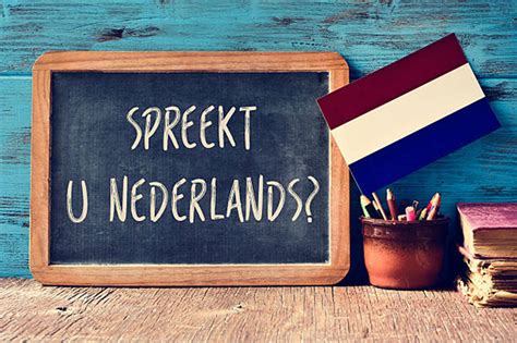 de nederlandse taal leren